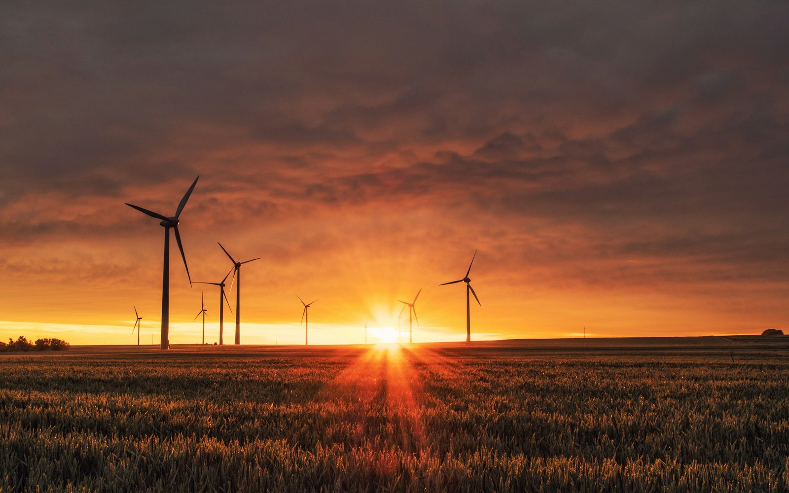 Sustainability Green